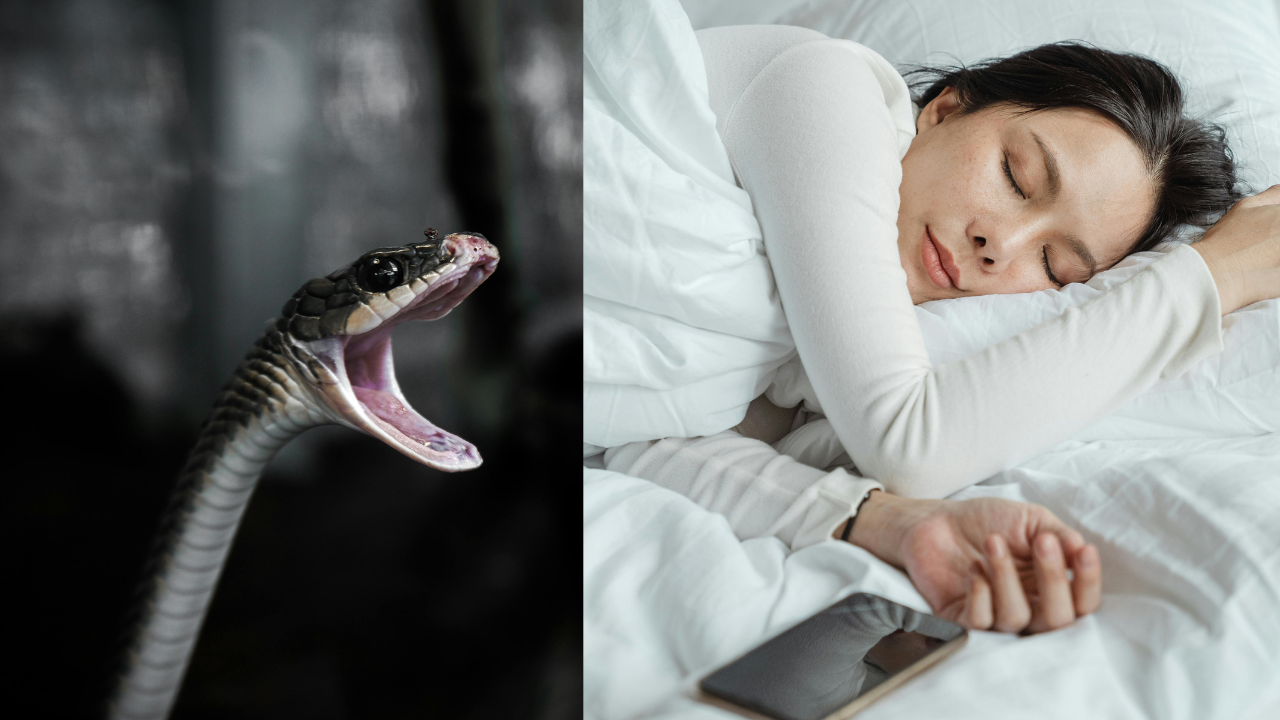 snake photo by donaldtong from pexels and woman sleeping by ketut subiyanto