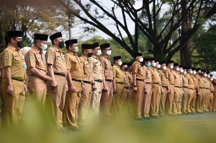 Pegawai Negeri Sipil (PNS)