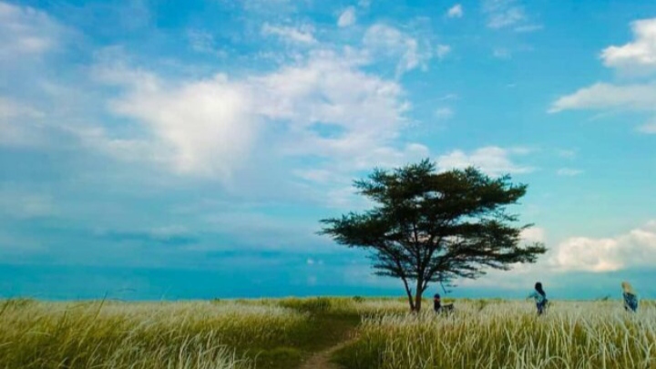 Panorama Pantai Baruna yang mempesona.