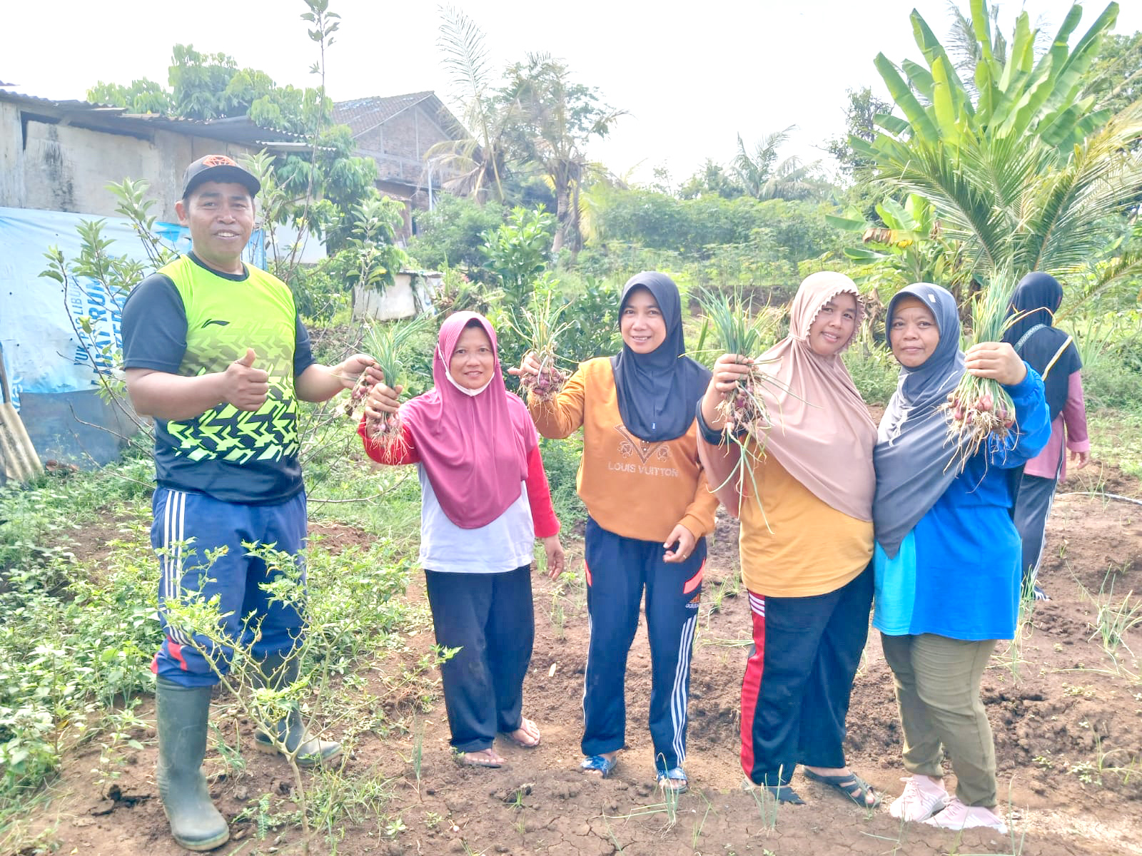 HASIL PANEN : Hasil panen bawang merah yang ditanam warga RW 02 Kelurahan Ngadirgo. Kembangkan Pertanian Bawang Merah MIJEN, Radar Semarang--Kelurahan Ngadirgo, Kecamatan Mijen