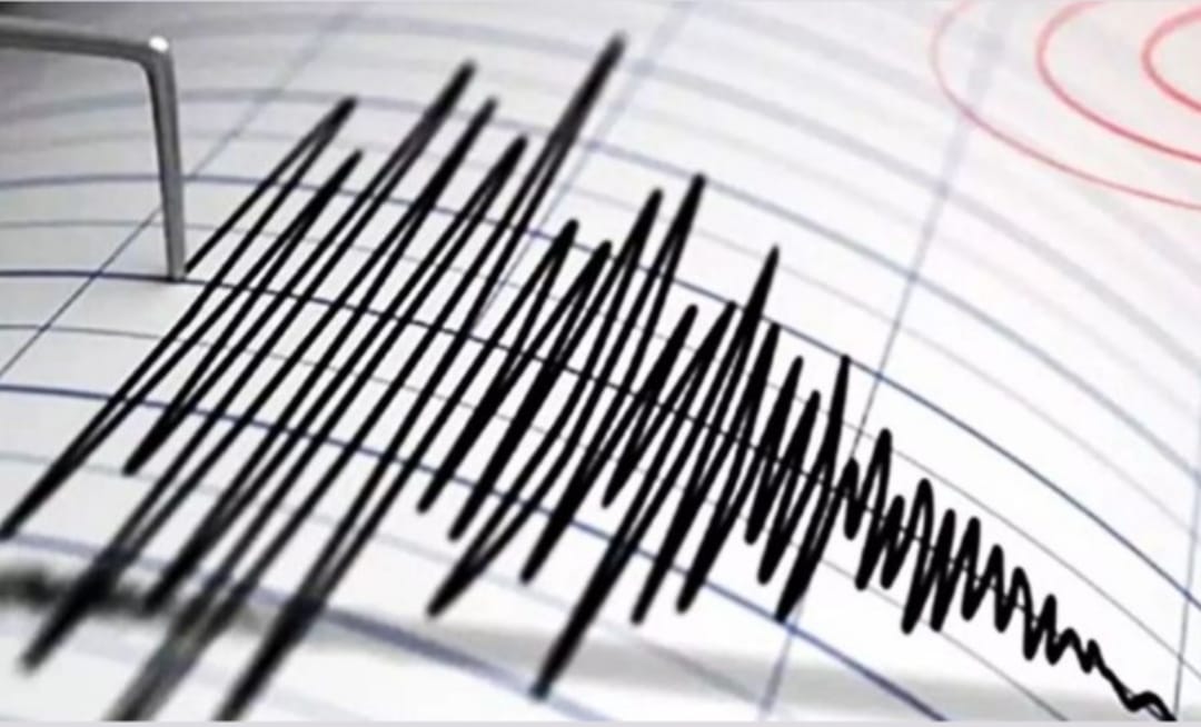 Ilutrasi alat deteksi gempa atau seismometer