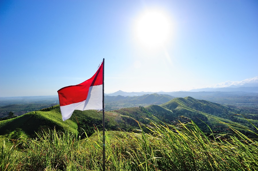 Ilustrasi Bendera Merah Putih
