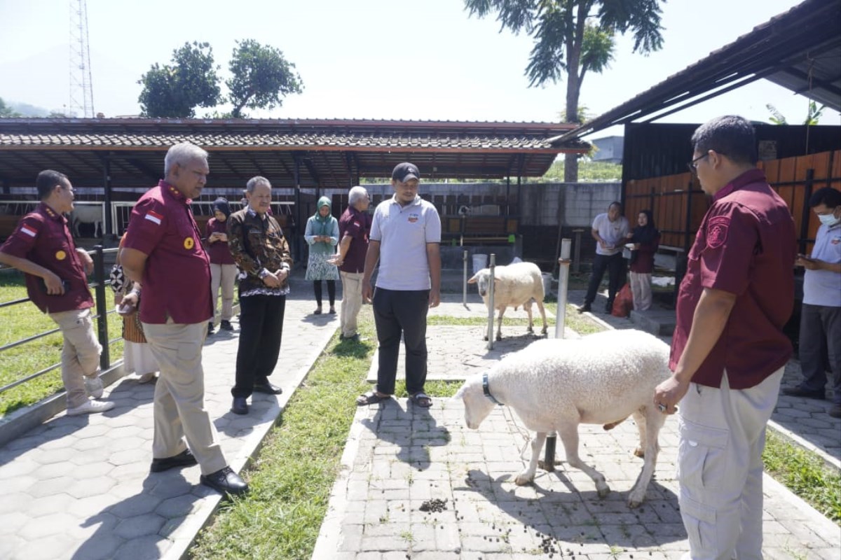 Kakanwil Kemenkumham Jateng, Tejo Harwanto meninjau pembudidayaan Domba Wonosobo di Kabupaten Wonosobo, Kamis (15/08).&nbsp;
