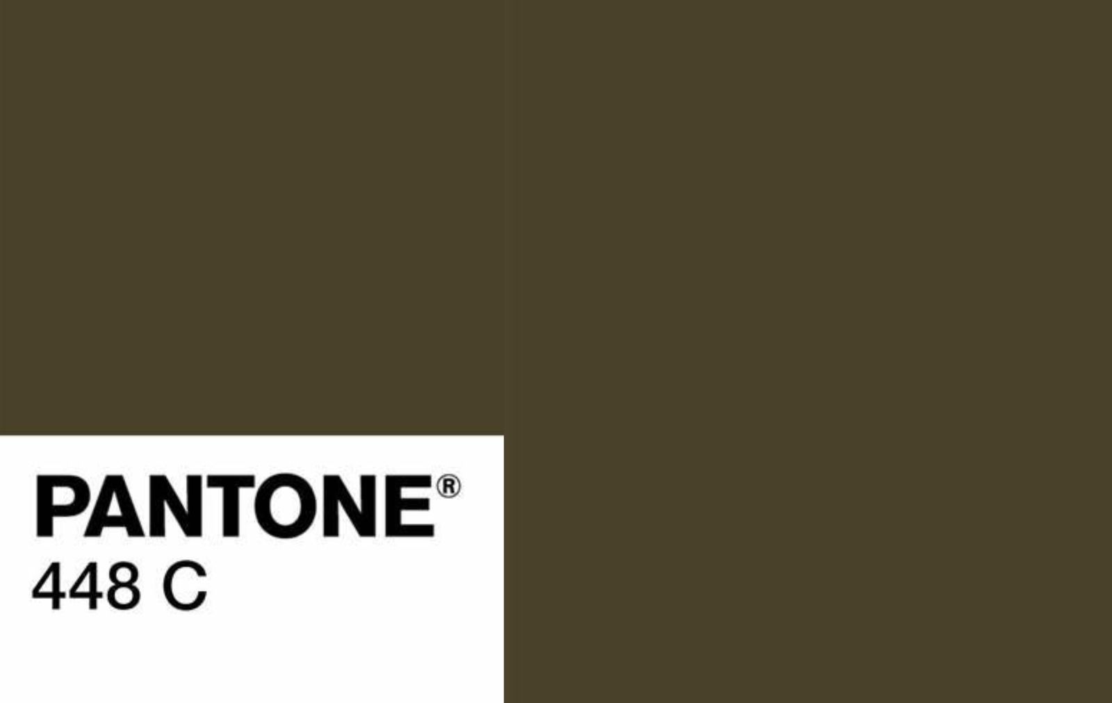 Penampakan Warna Paling Jelek di Dunia