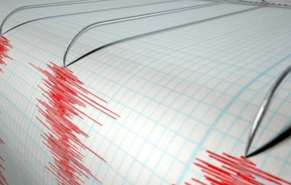 Ilustrasi seismograf