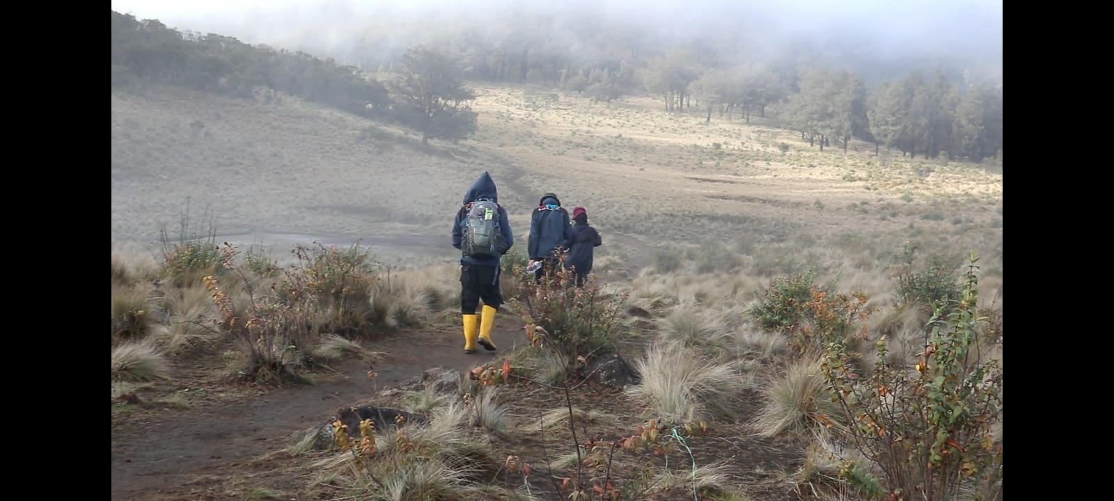 Pendakian di gunung perlu kesiapan logistik