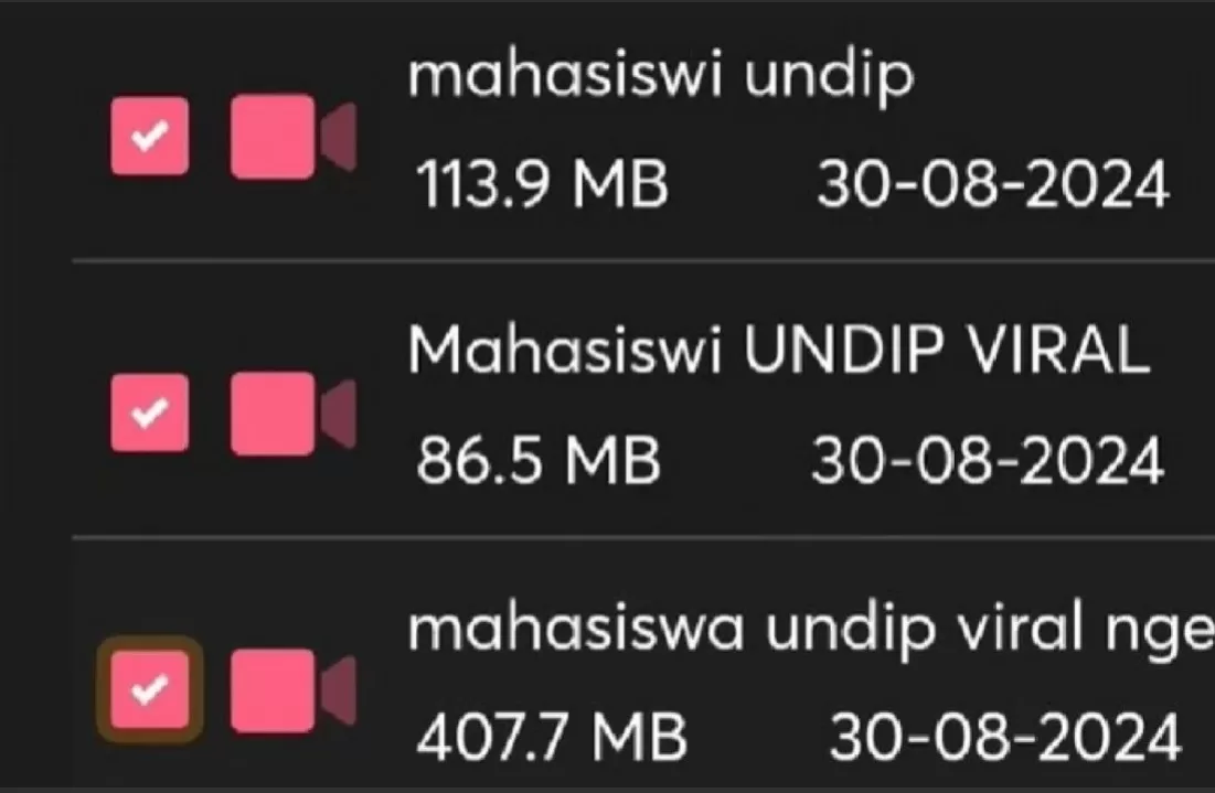 Tersebar link video KKN Undip.