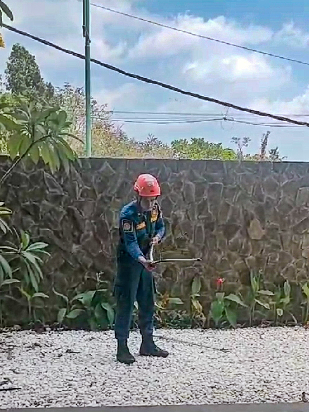 Tangkapan layar saat petugas damkar memutar-mutar ular yang dievakuasi dari tembok