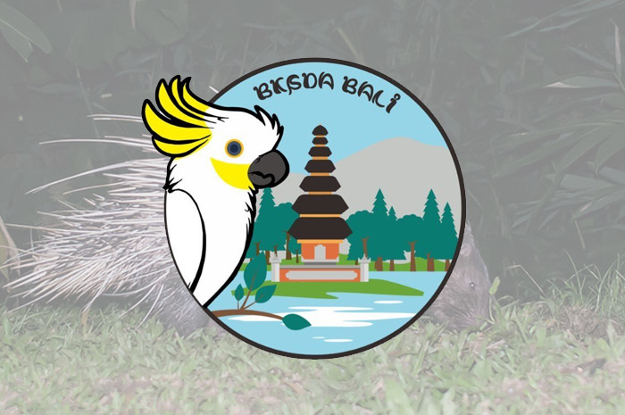 PP akun Instagram BKSDA Bali dengan tambahan background Landak Jawa.
