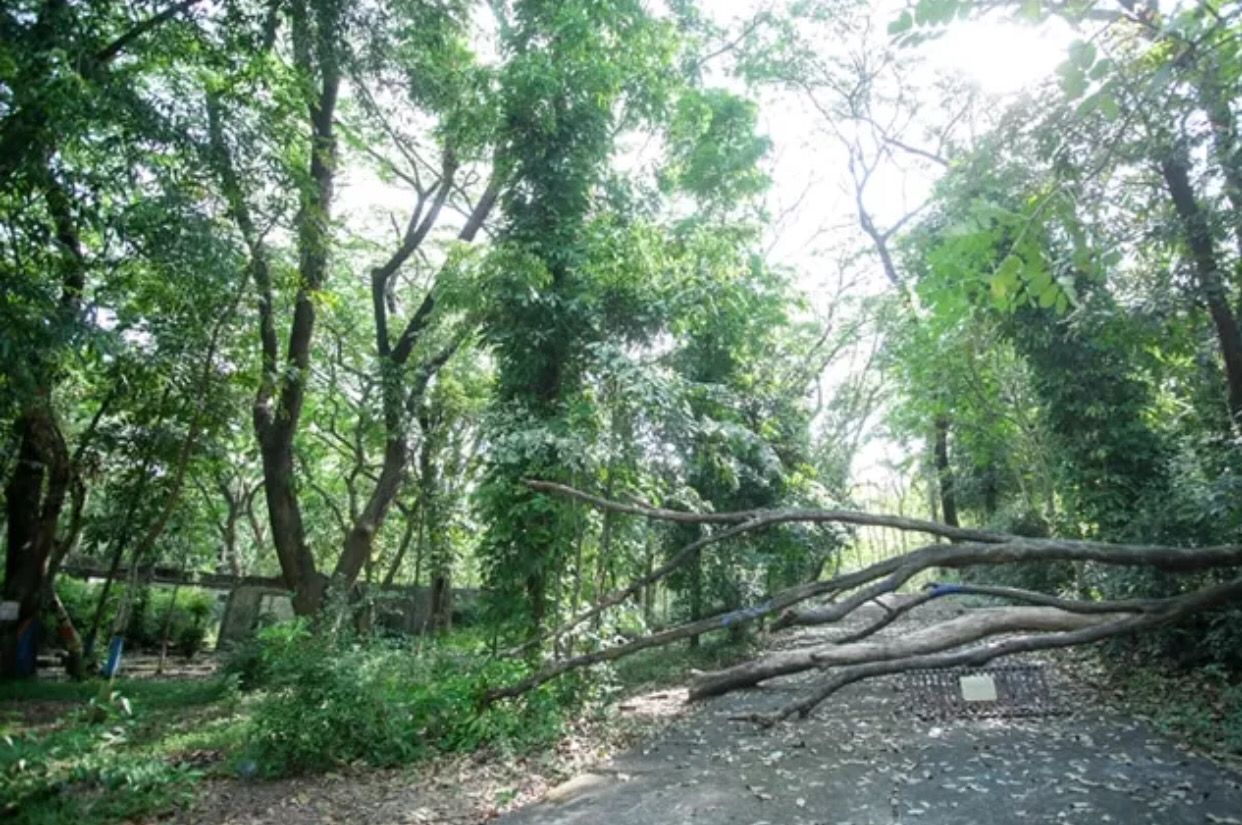 Dulu hutan Tinjomoyo adalah kebun binatang. Karena objek wisata itu sudah pindah, sebagian fasilitas di sana mangkrak.