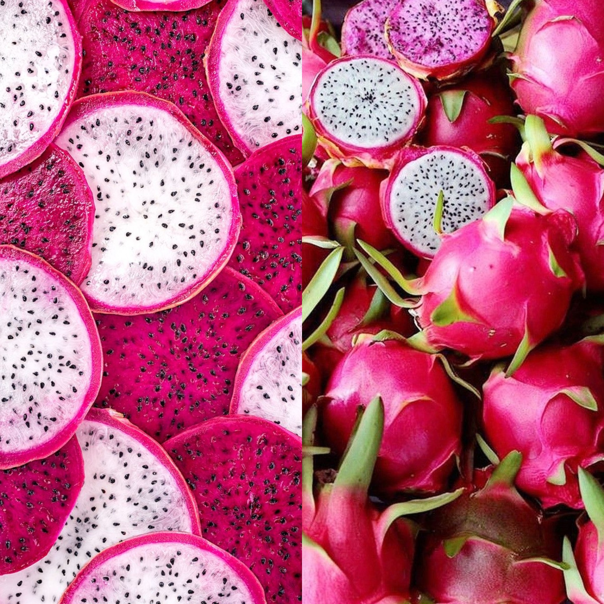 Buah Naga atau Pitaya