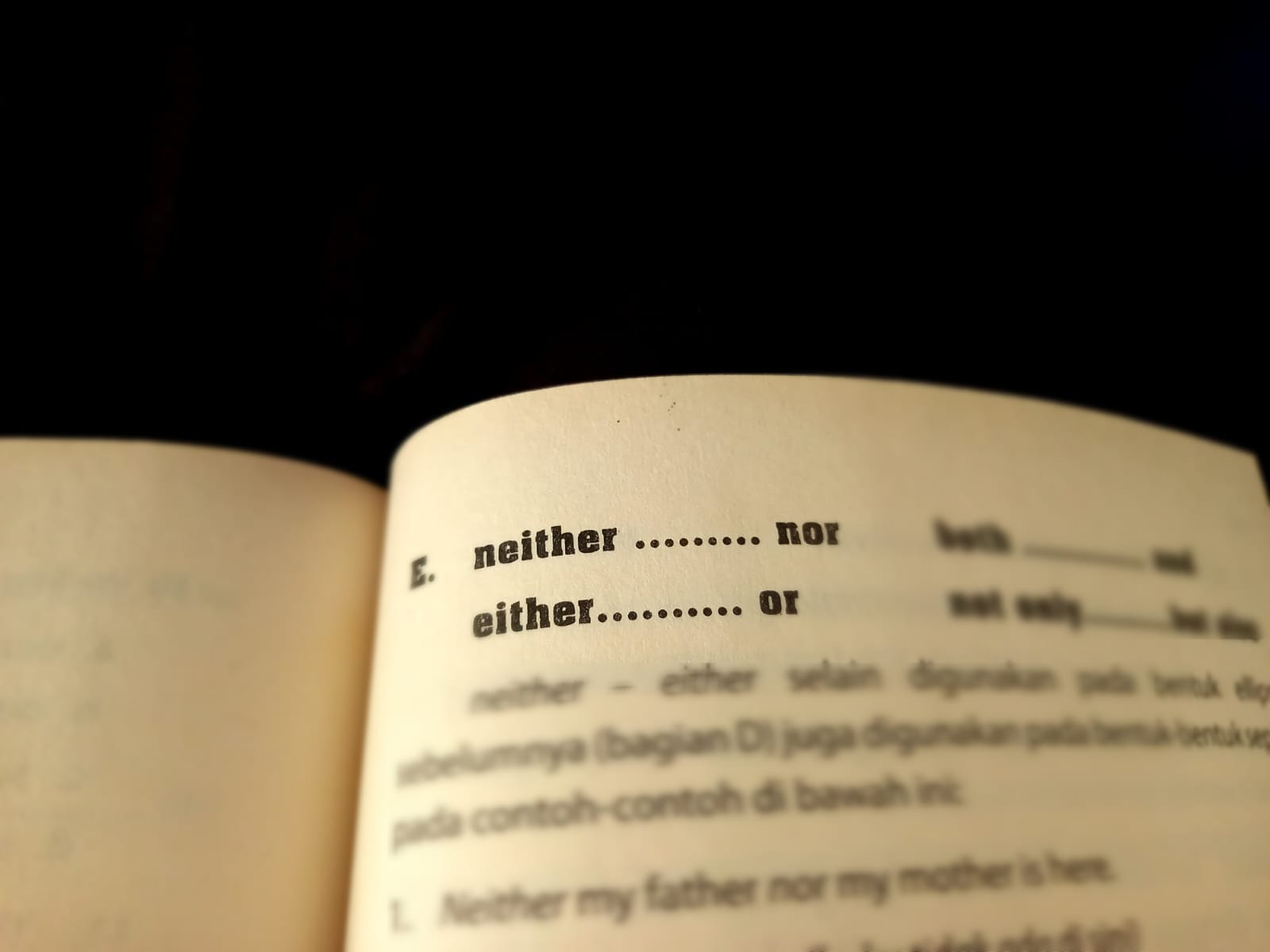 Ilustrasi Either dan Neither