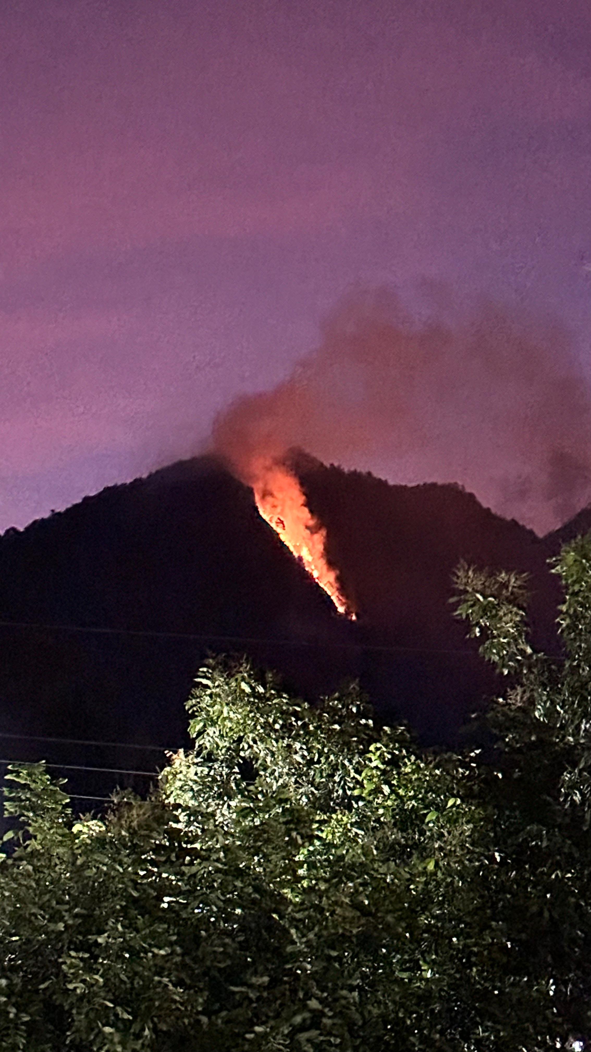 Kondisi lereng Gunung Telomoyo saat terbakar.