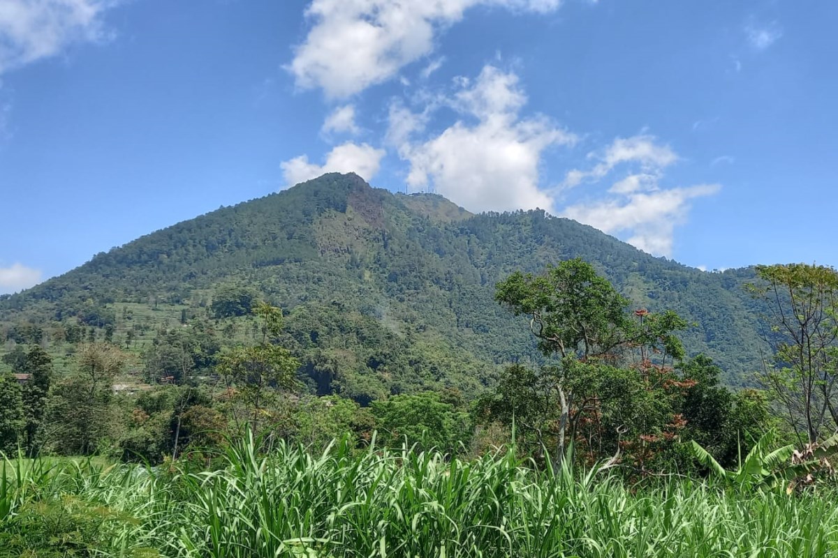 Kondisi setelah kebakaran lereng Gunung Telomoyo. Maria Novena/Jawa Pos Radar Semarang