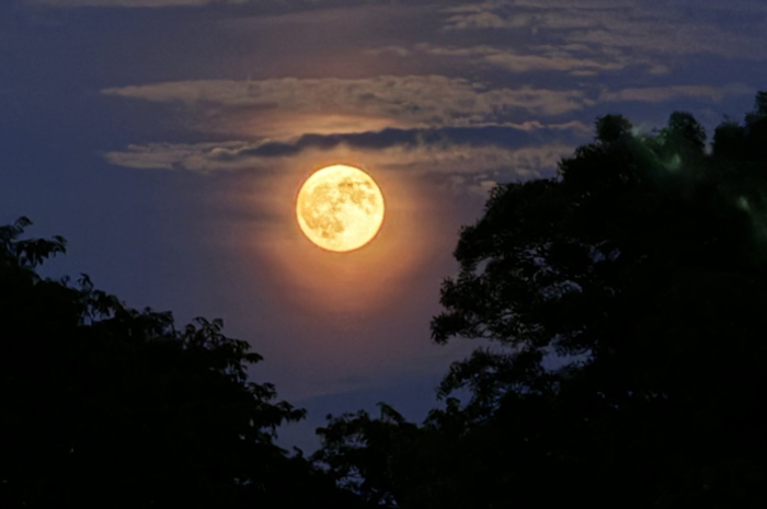 Super Harvest Moon terbit di atas langit Toronto pada Rabu (18/9) malam.