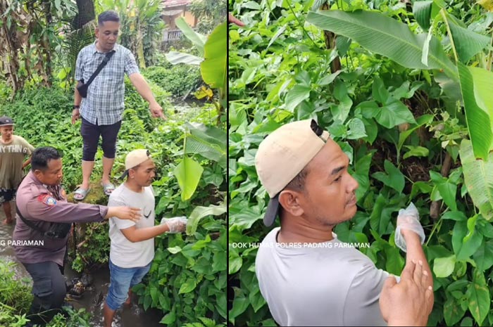 Polres Padang Pariaman kembali menemukan dua Alat Bukti Utama dalam kasus pembunuhan gadis penjual gorengan.
