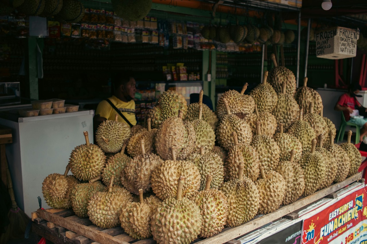 Ilustrasi Durian