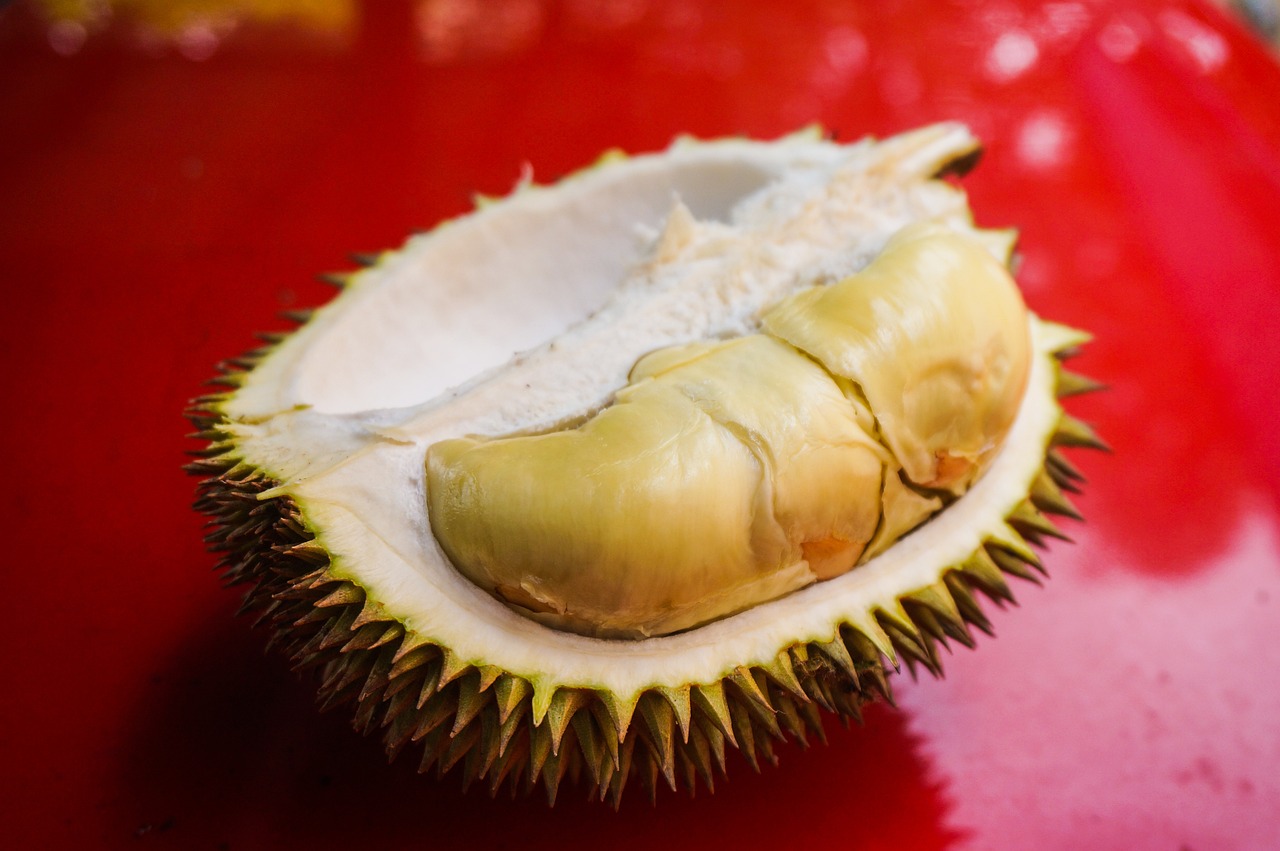 Ilustrasi Durian