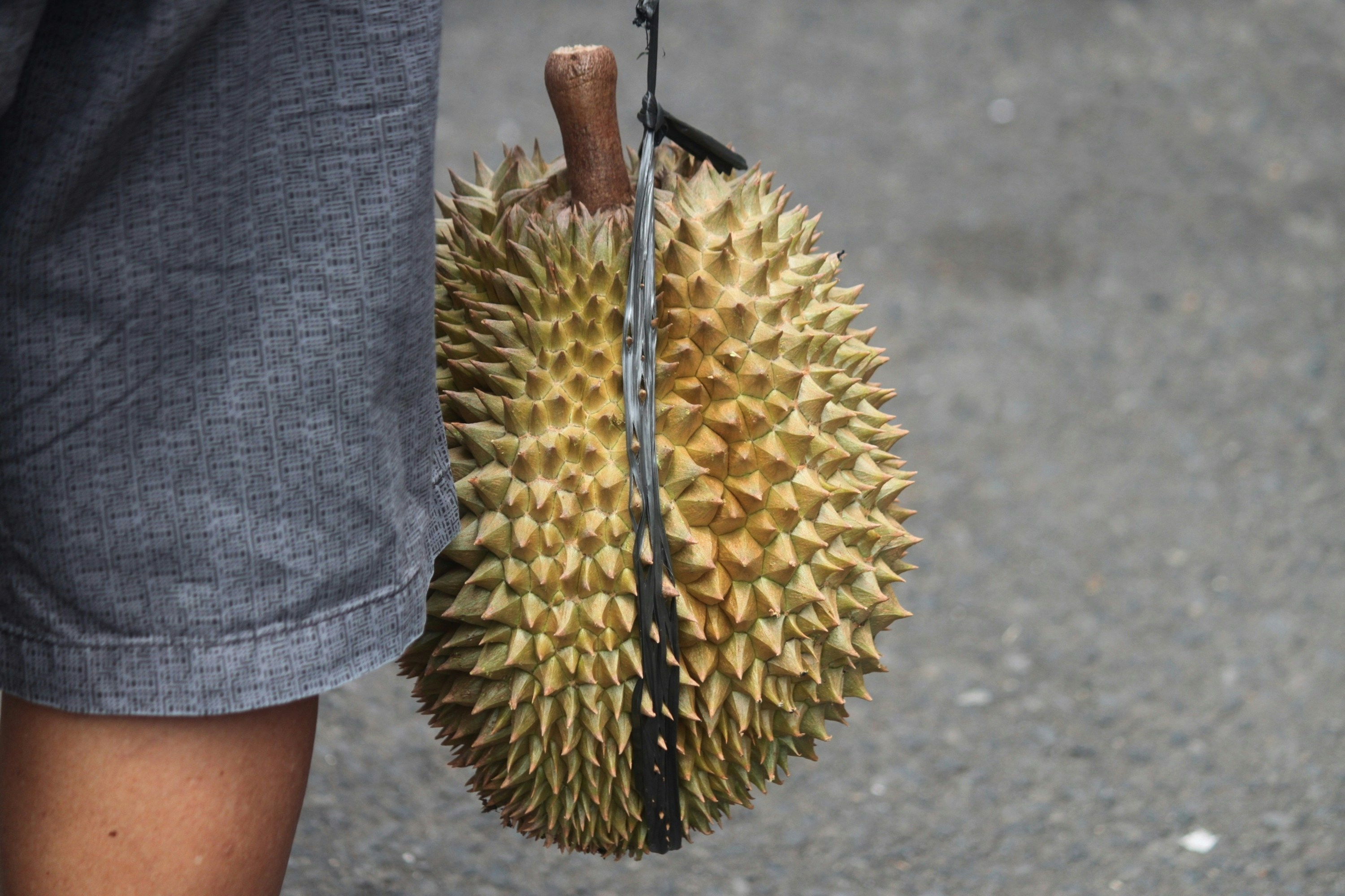 Mengapa durian memiliki bau yang menyengat?