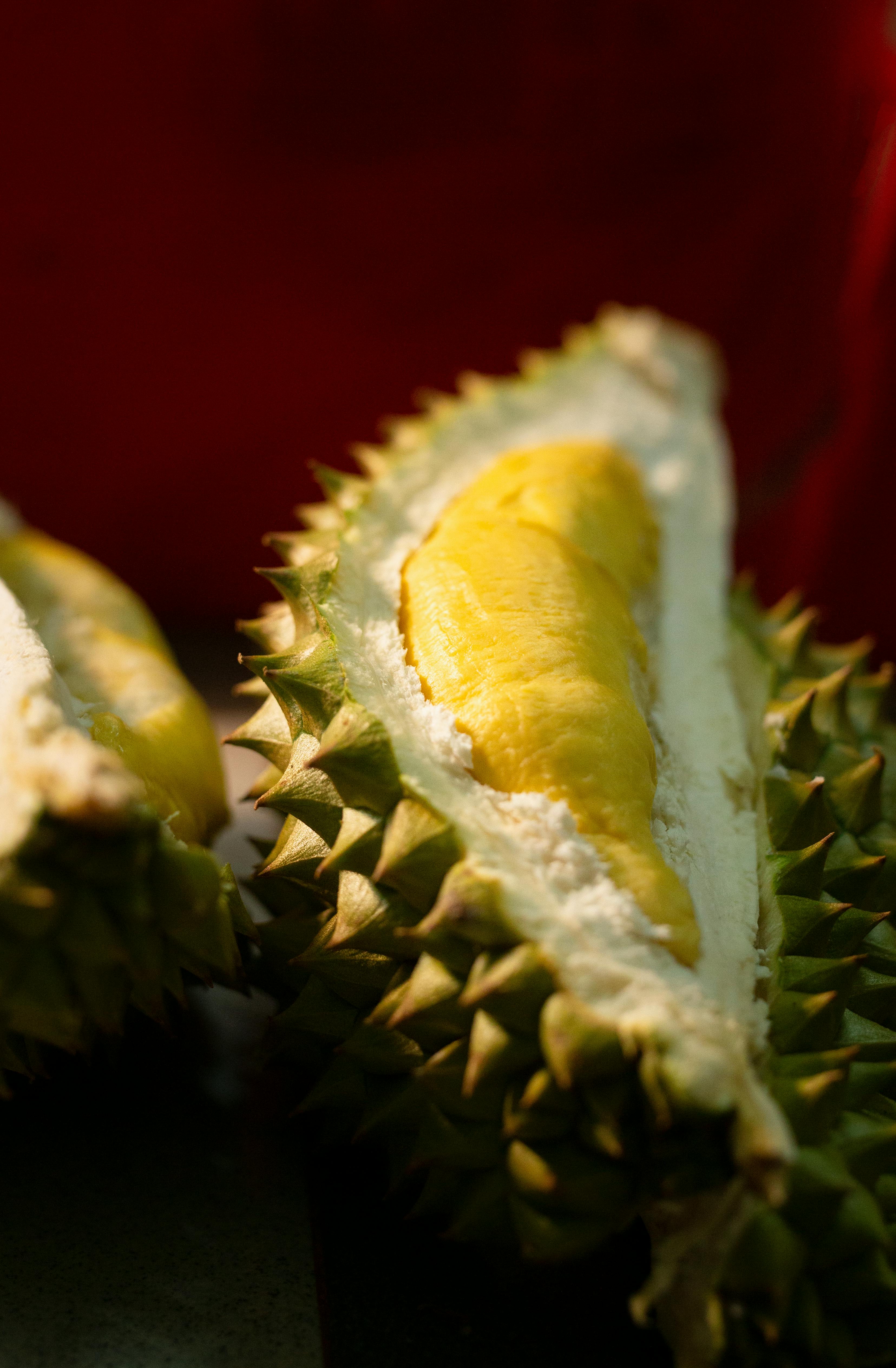 Ilustrasi Durian