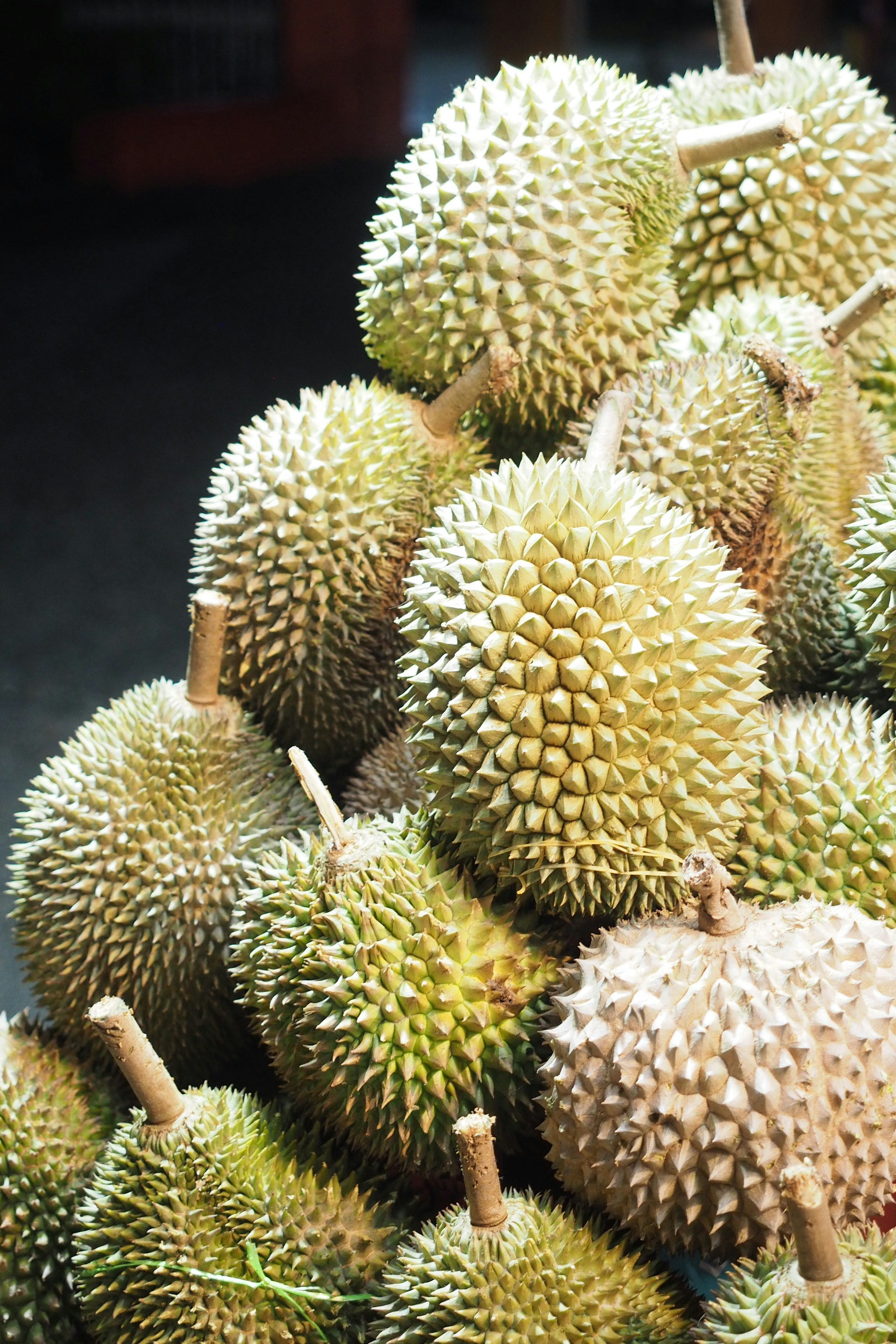 Manfaat durian yang bagus untuk kesehatan tubuh