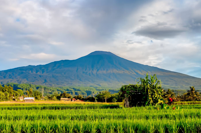 Fakta Gunung Slamet, terletak di perbatasan lima kabupaten di Jawa Tengah.