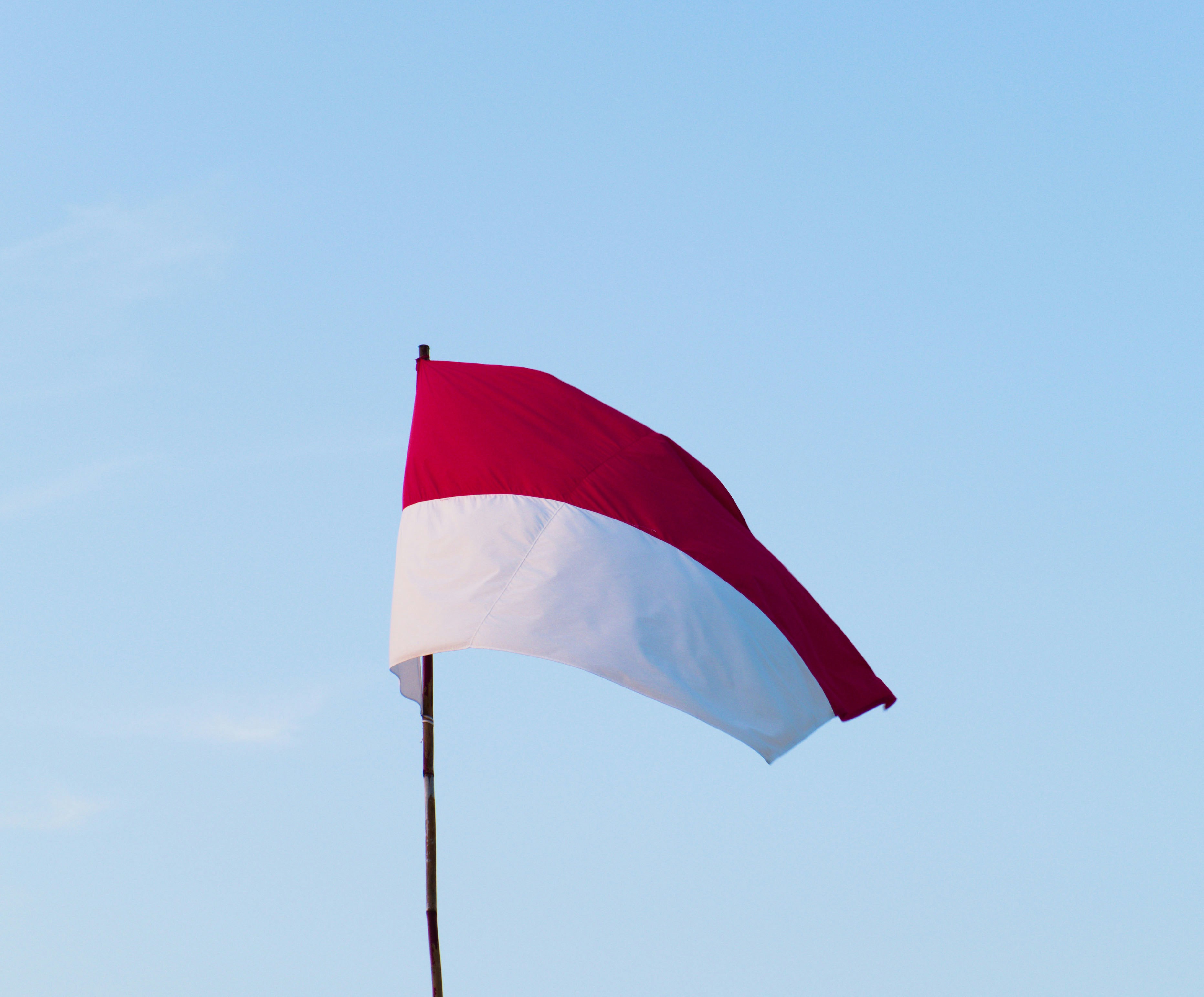 Sumpah Pemuda