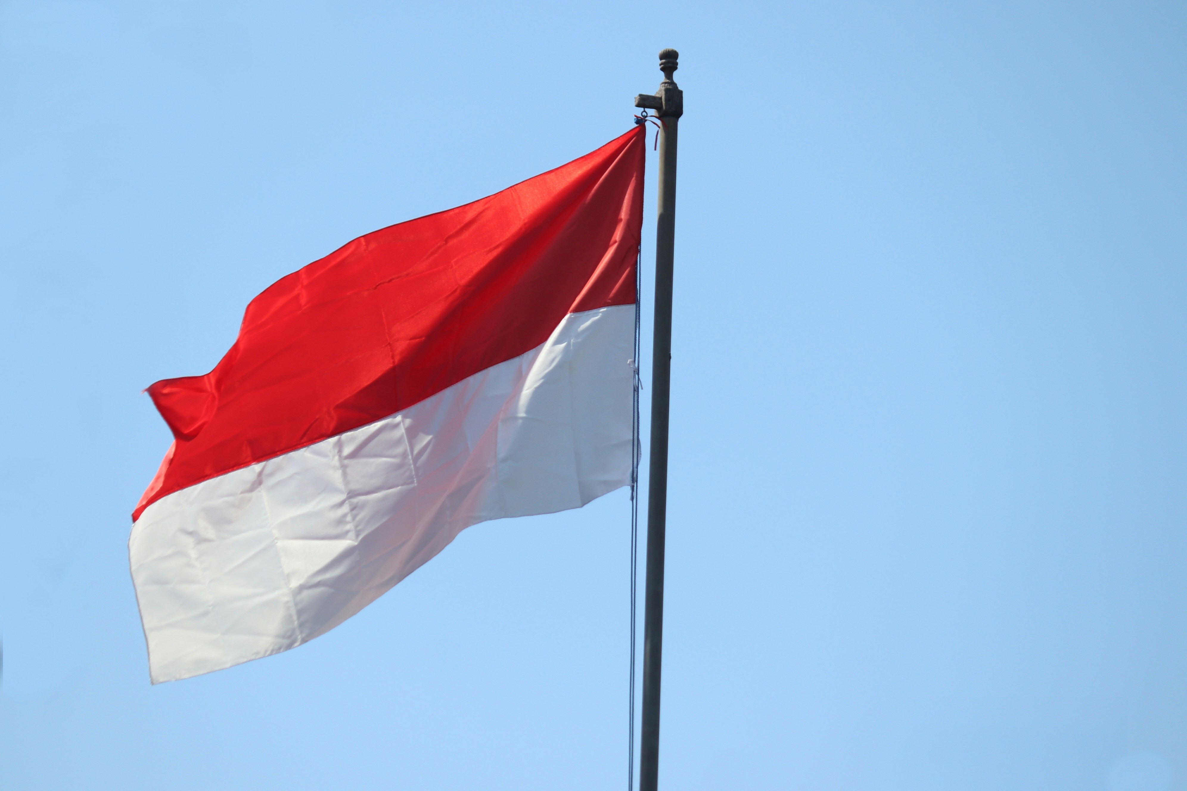 sumpah pemuda