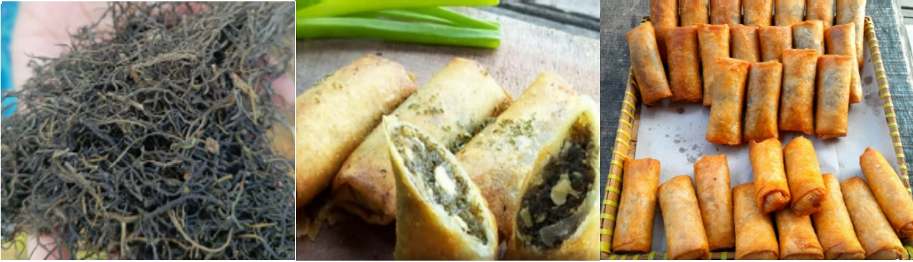 LURULA (Lumpia Rumput Laut) dari Rumput Laut Gracilaria sp Produksi Kiss Kitchen dari Mangunharjo.