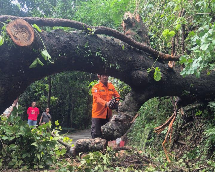 Kondisi bencana banjir dan pohon tumbang di wilayah Kabupaten Kendal, Kamis (12/12).