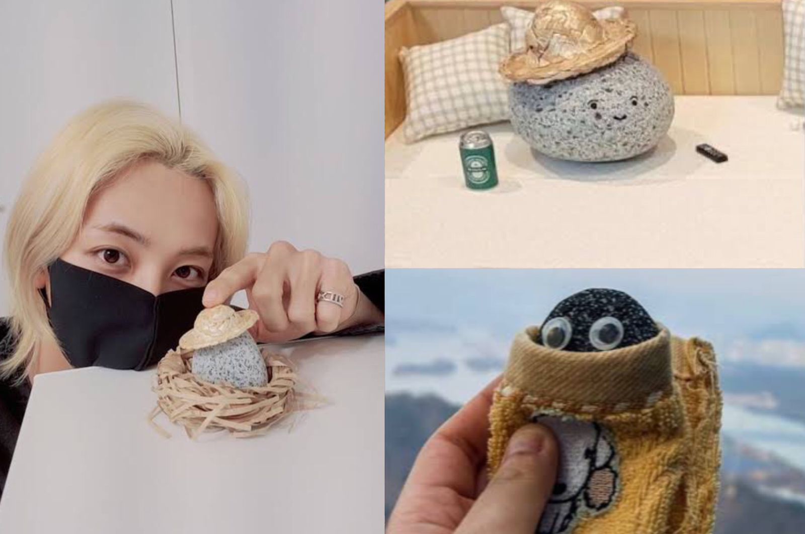 Potret Jeonghan Seventeen bersama batu peliharaannya, Batu Peliharaan di Korsel