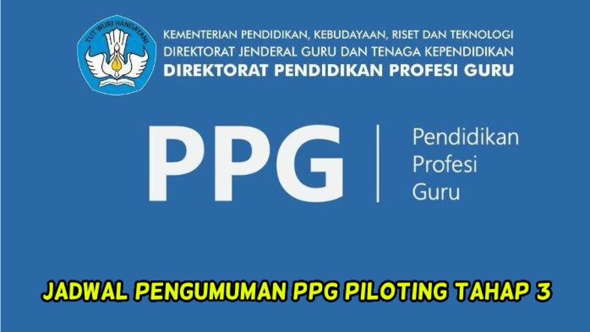 Cek Pengumuman Piloting 3 Pendidikan Profesi Guru 2024, Berikut Jadwalnya