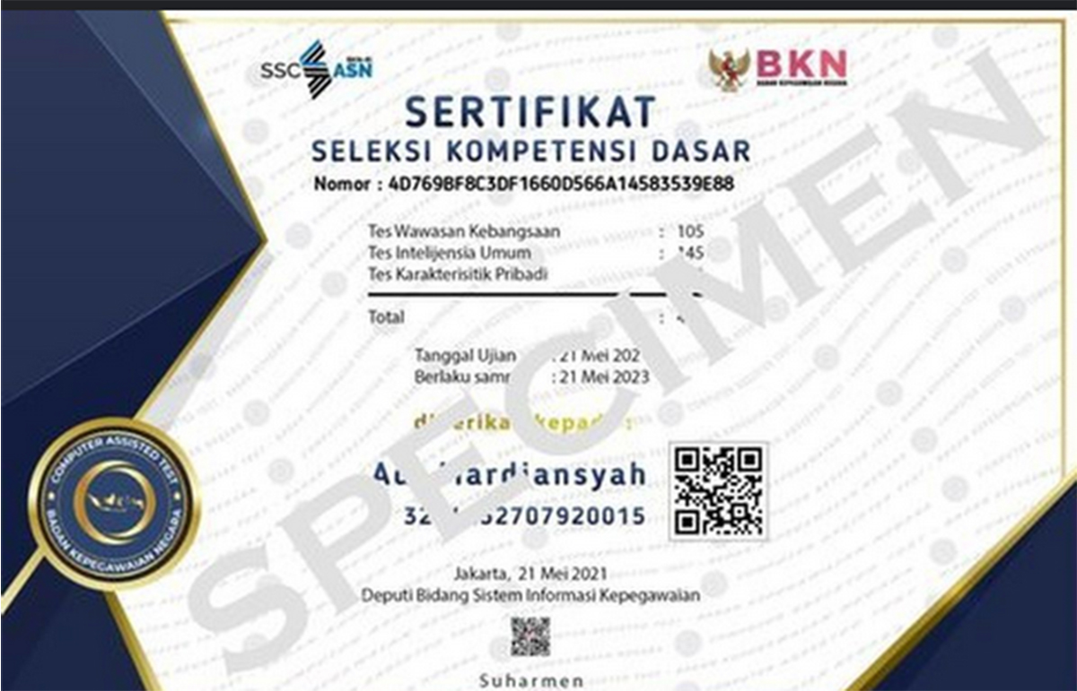 HASIL Sertifikat PPPK 2024  Nilai Seleksi Kompetensi