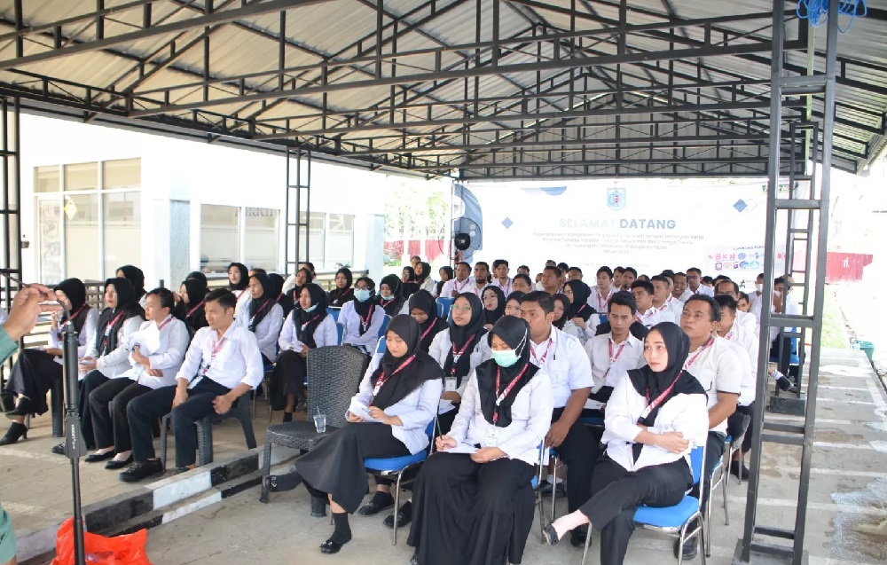 Simak Secara Lengkap ! Proses Seleksi PPPK 2024 Untuk Tenaga Honorer R2 dan R3, Tetap Dapat NIP, Diminta Isi Daftar Riwayat Hidup