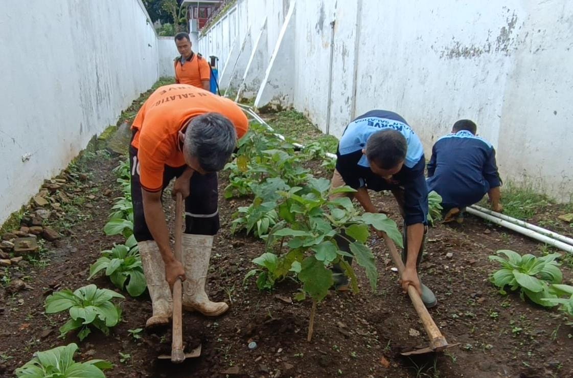 Manfaatkan Lahan Terbatas, Rutan Salatiga Sukseskan Program Ketahanan Pangan