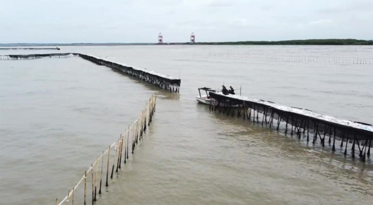 BIKIN Geger Nelayan Keluhkan Pagar Laut Misterius 30,16 km di Tangerang