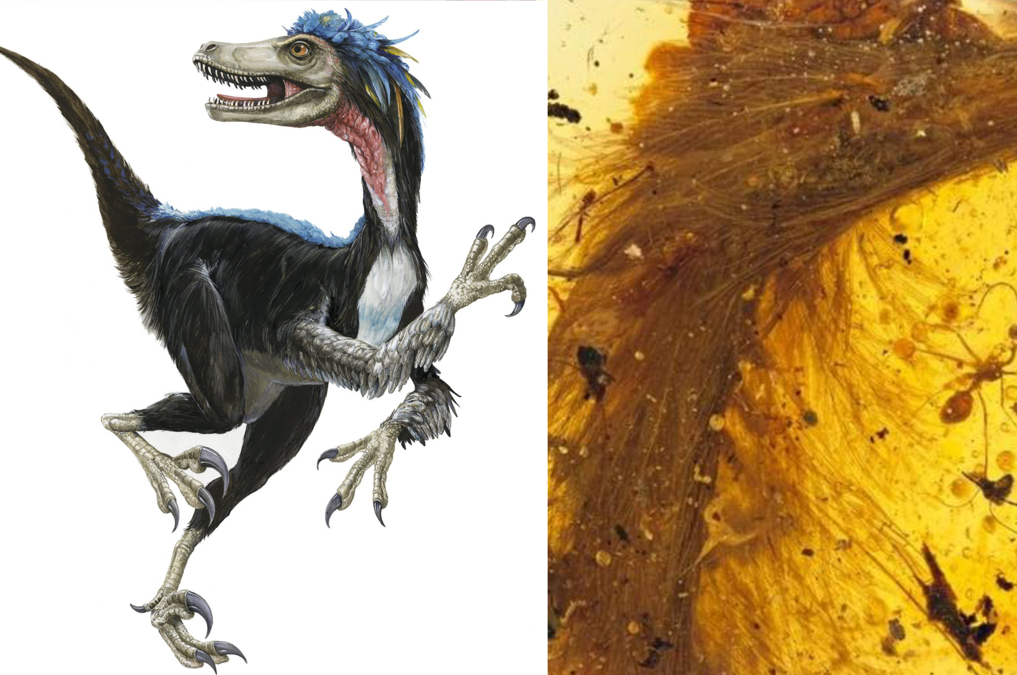 Ilustrasi Dinosaurus Berbulu dan Fosil Ekor yang Berhasil Ditemukan di Myanmar