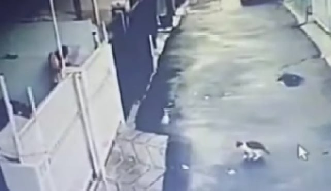 Tangkapan layar yang memperlihatkan pelaku DD menembak kucing Timmy.