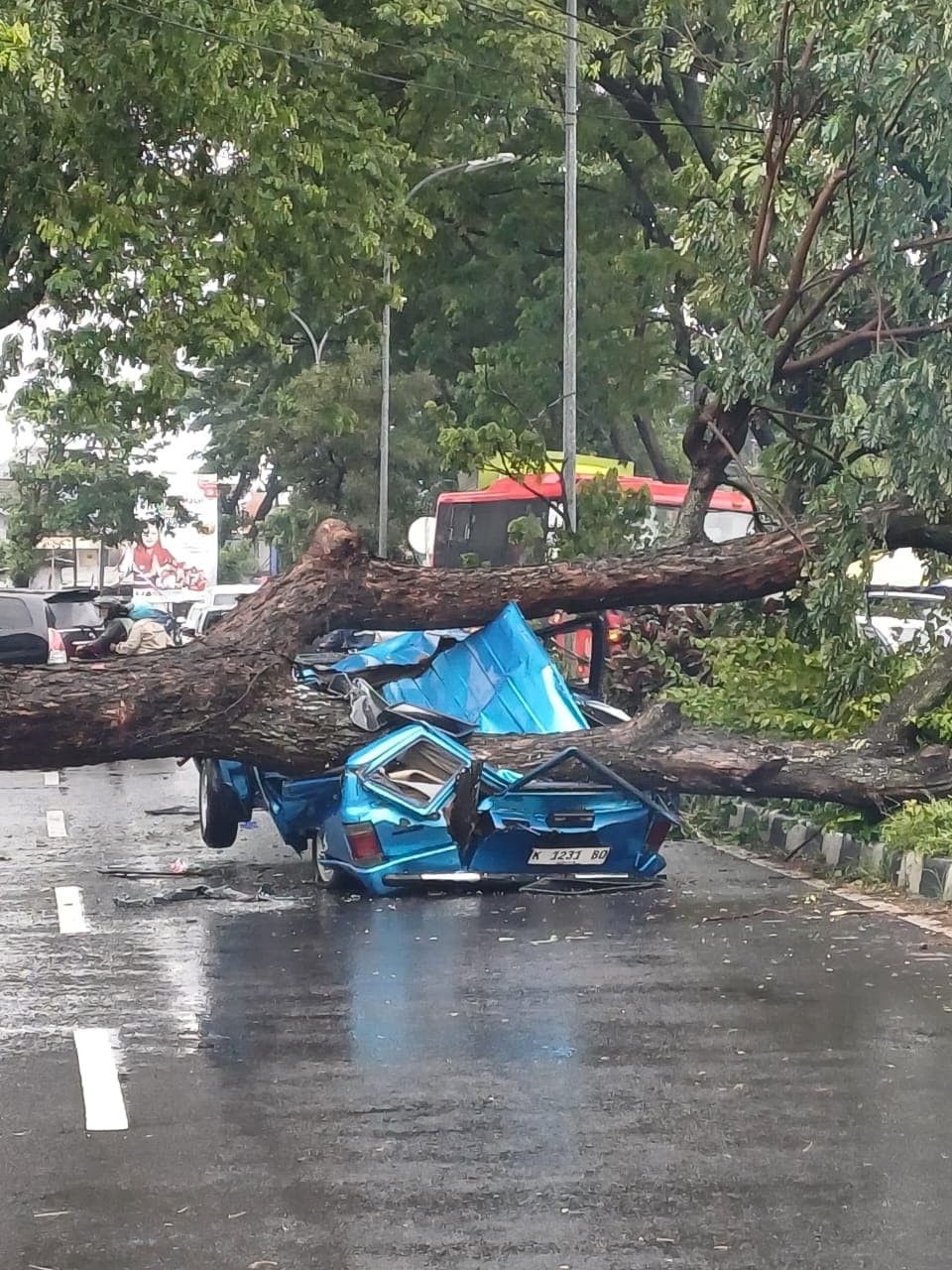 Mobil Panther yang tertimpa pohon tumbang mengalami ringsek.