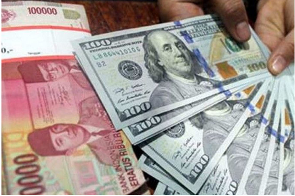 Google Buka Suara Terkait Kehebohan Nilai Tukar Dolar Amerika Serikat (AS) yang ambruk ke Rp8.170, Euro dan Mata Uang lainnya juga Keliru.