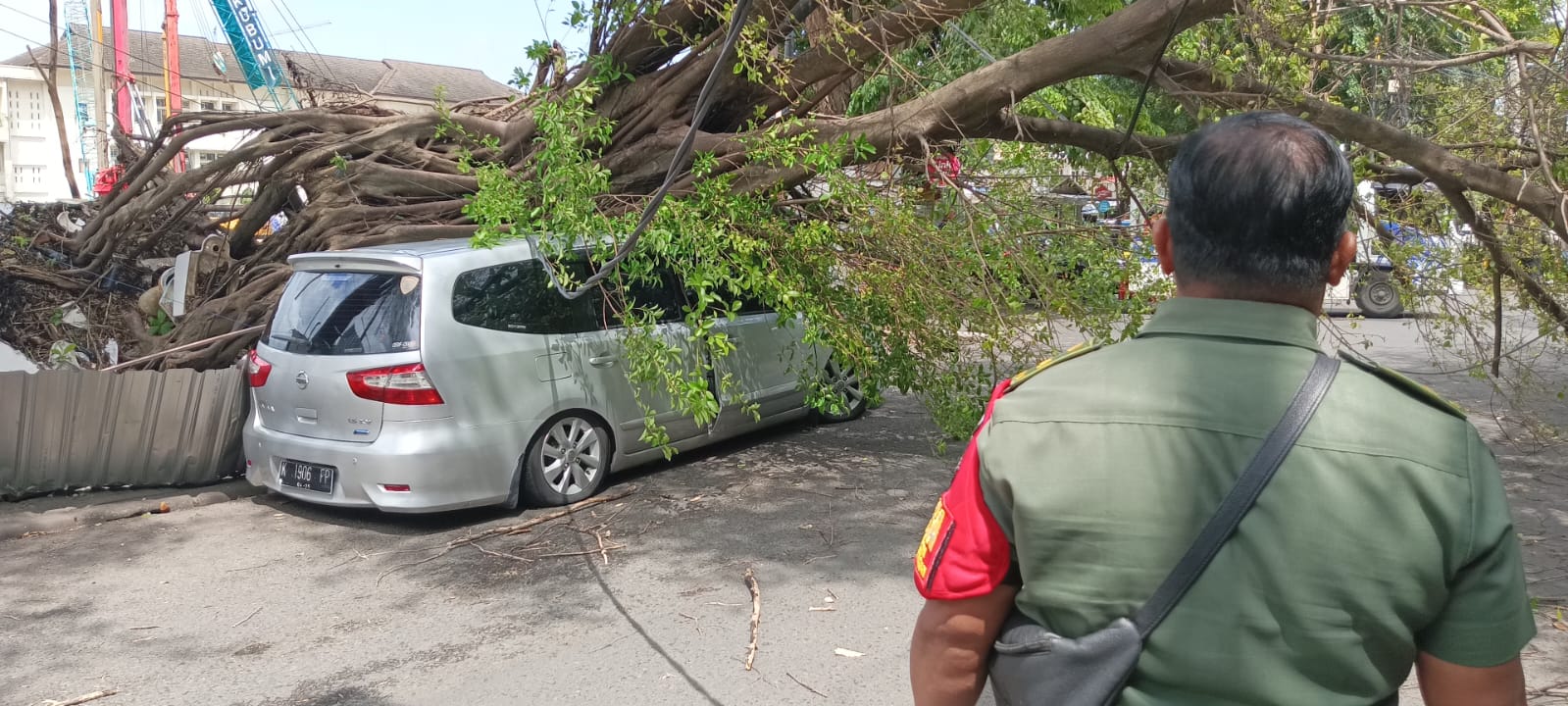 Mobil Livina K 1906 FP yang tertimpa pohon tumbang di Jalan Hayamwuruk, Pleburan, Rabu siang ini (5/2/25). (Sulistiono)