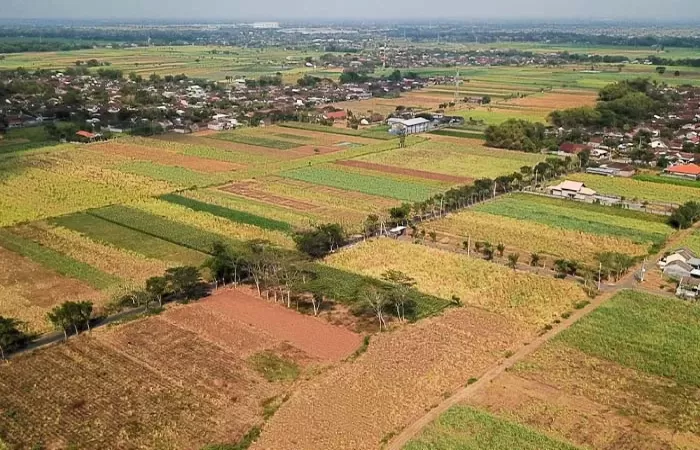 Tanah bisa diambil negara jika tidak dimanfaatkan dengan baik oleh ahli waris.