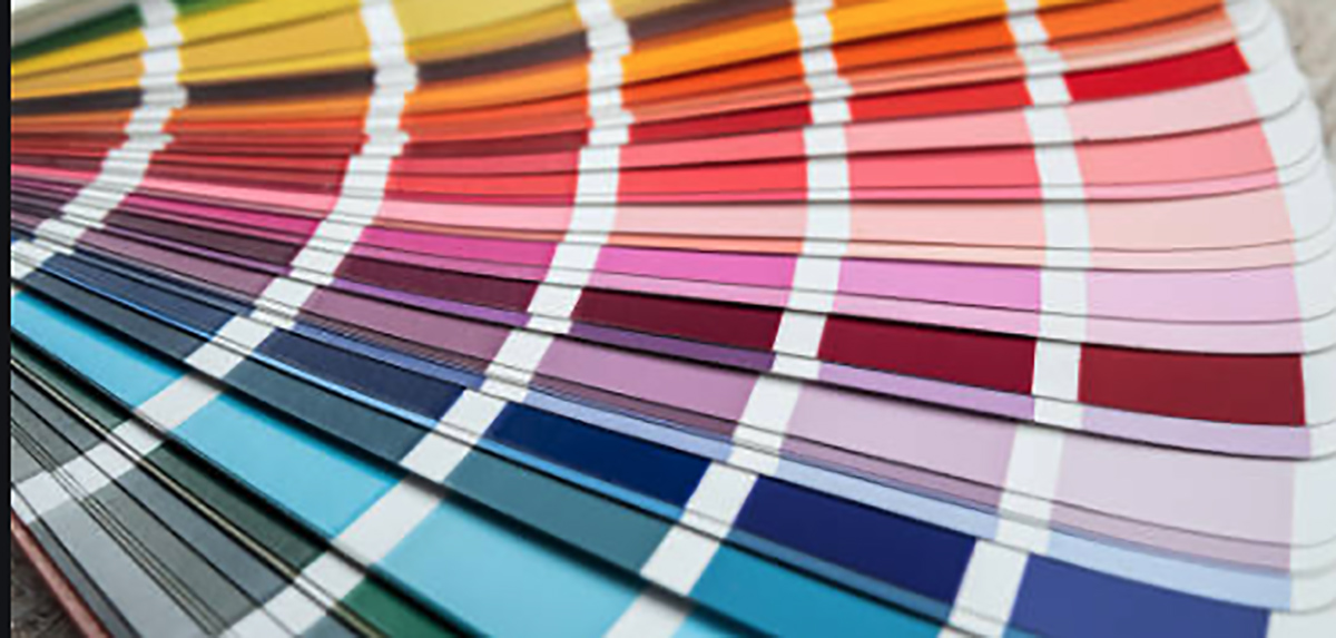 Panduan Warna