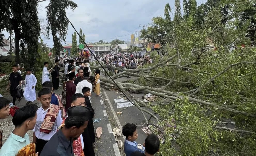 Tragedi pohon tumbang saat Sholat Id di Pemalang, Senin 31 Maret 2025.