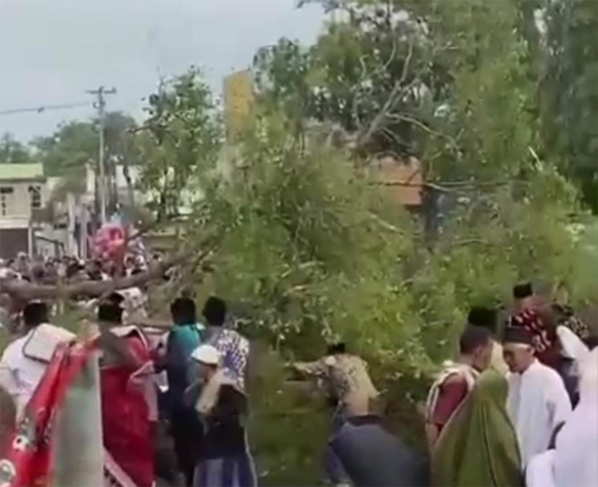 Musibah Pohon Tumbang Timpa Jamaah Salat Idul Fitri di Pemalang 2 Orang Meninggal 15 Luka-luka