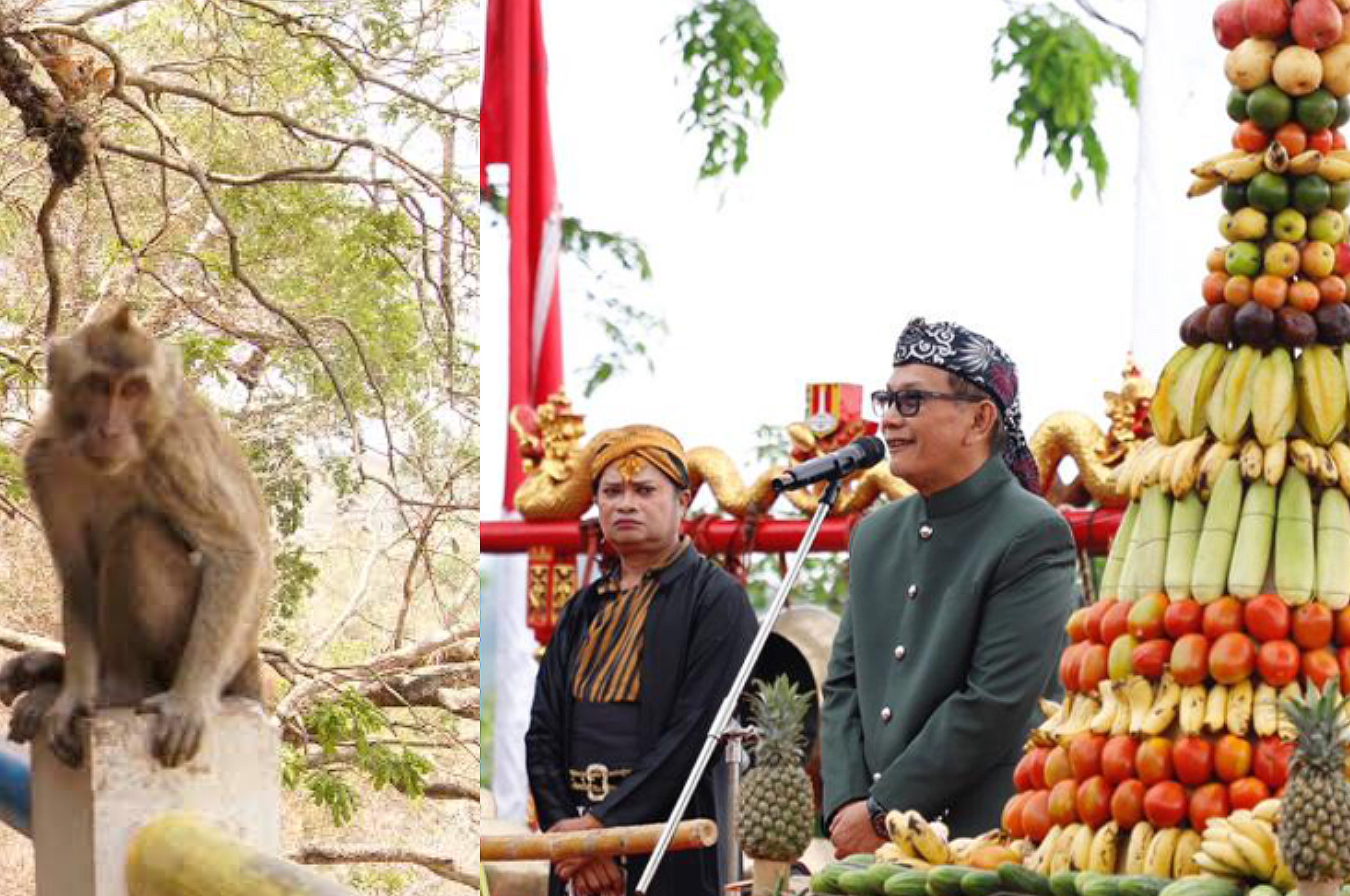 Potret: Prosesi Sesaji Rewanda dan Monyet Ekor Panjang yang Ada di Goa Kreo