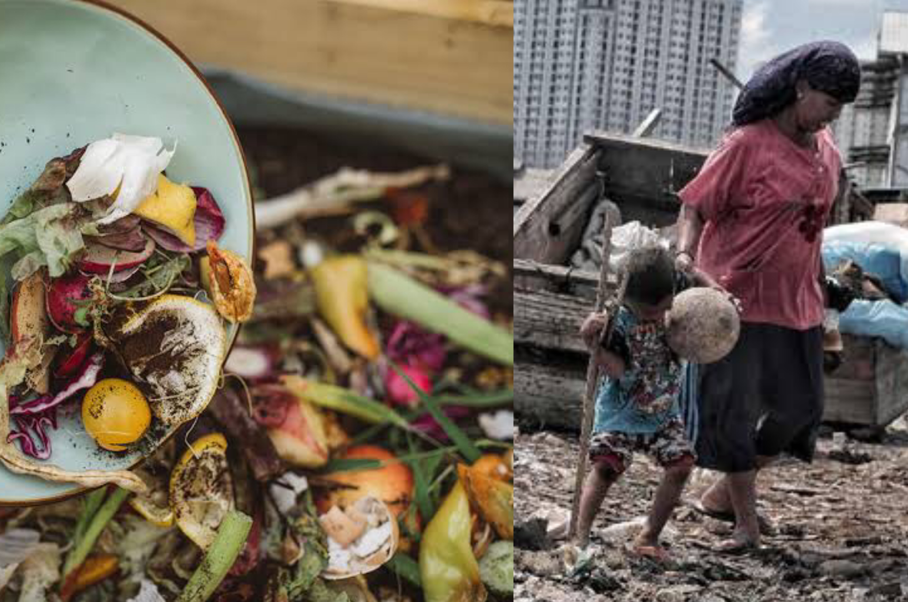 Ilustrasi Limbah Sampah Makanan di Indonesia
