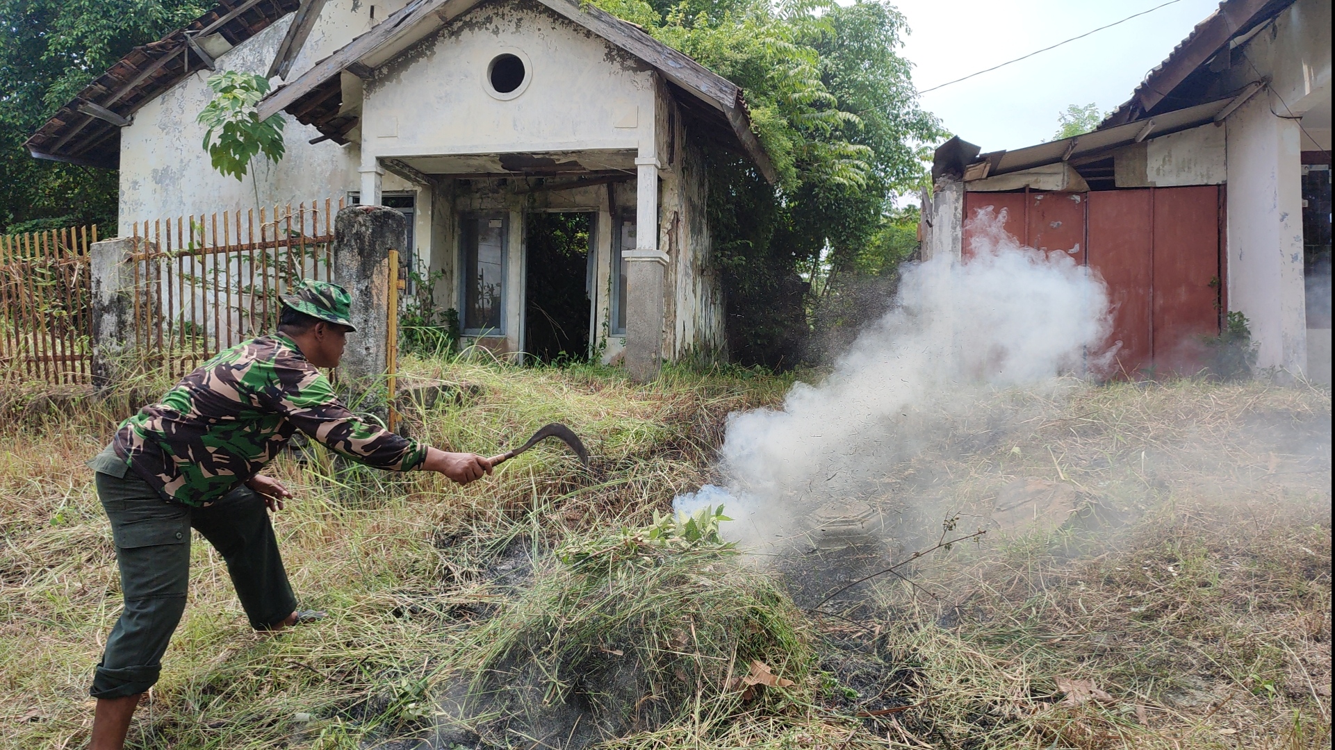 Karyawan Pengadilan Negeri Semarang saat membersihkan lingkungan rumah dinas di Jalan Pamularsih yang terbengkalai, Rabu (16/4/2025).