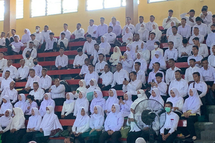 Ilustrasi CPNS 2025.