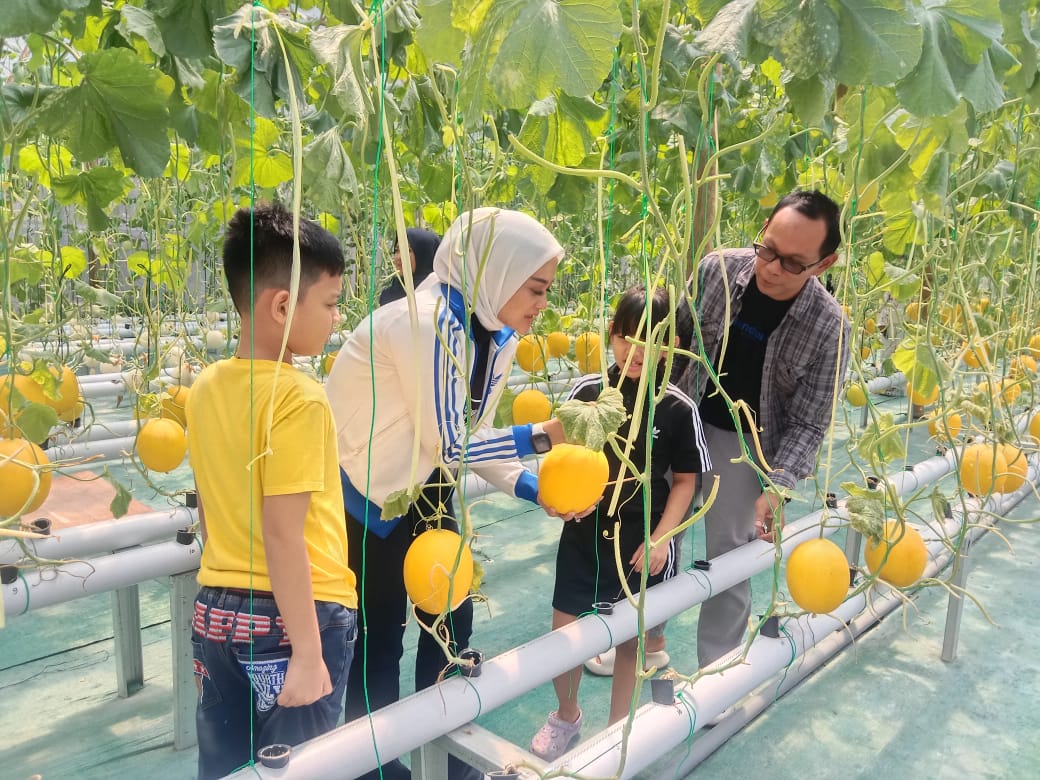 Wawali Nina Agustina saat berkunjung ke kebun melon.